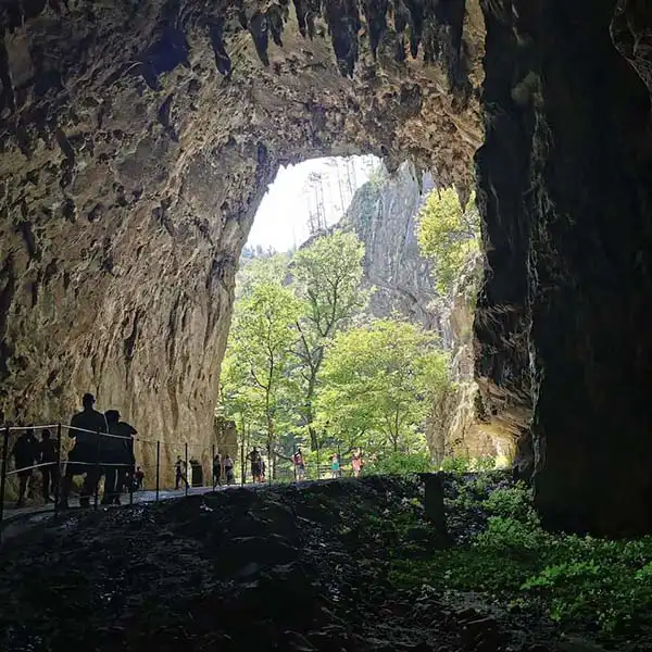 Postojna Cave, Slovenia