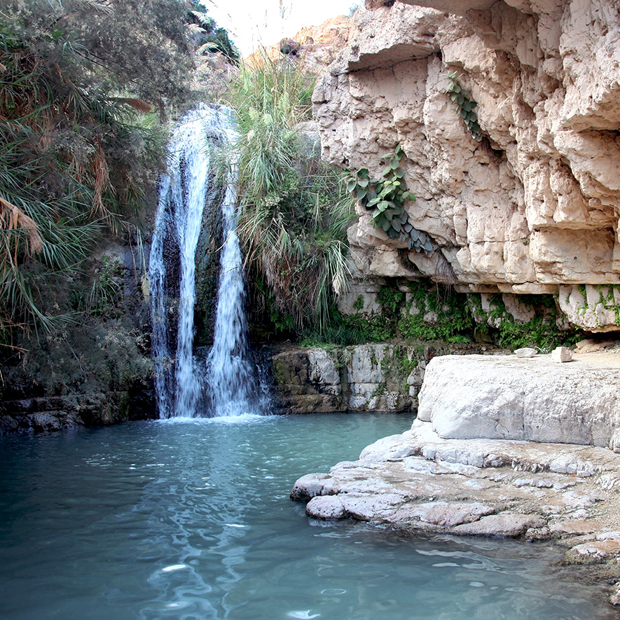 Ein Gedi, Israel