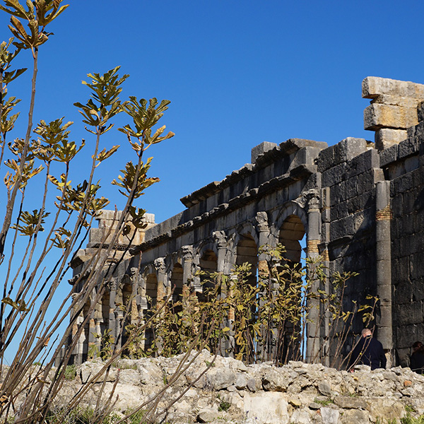 Volubilis, Morocco